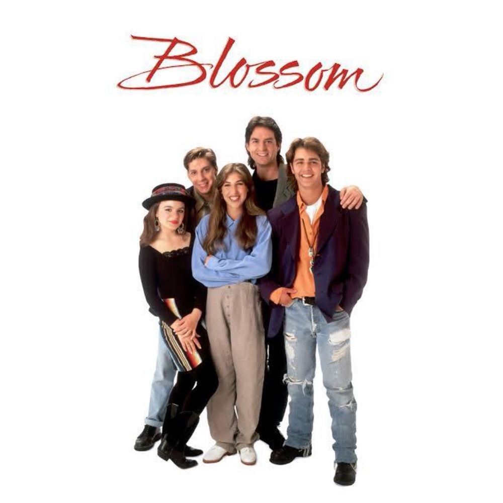 Blossom Complete Series 1-5 MOD / DVD Made on Demand